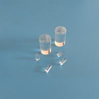 mini endoscope rod lens